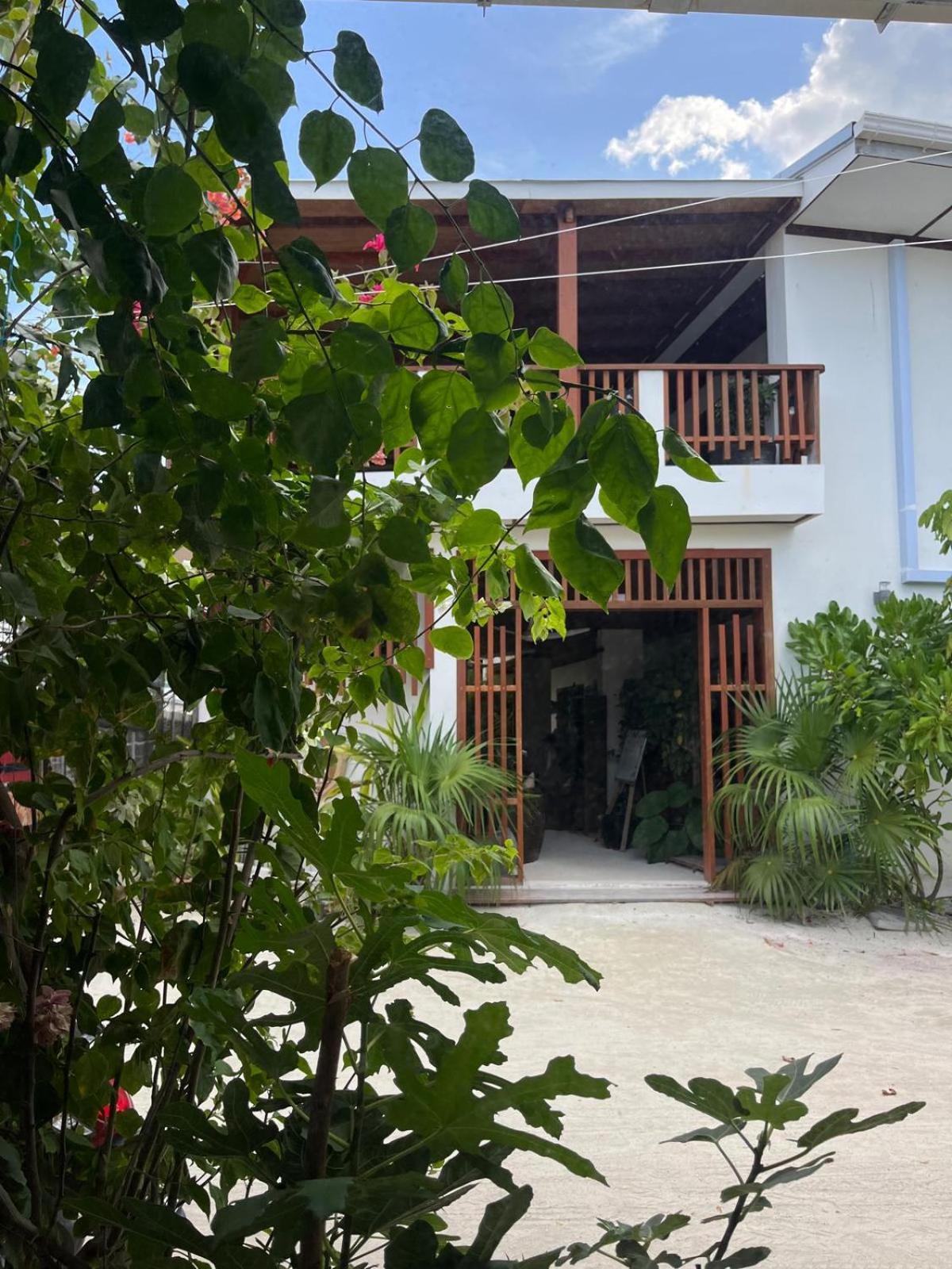 Ithaa Dhigurah Hotel Dhigurah  Luaran gambar