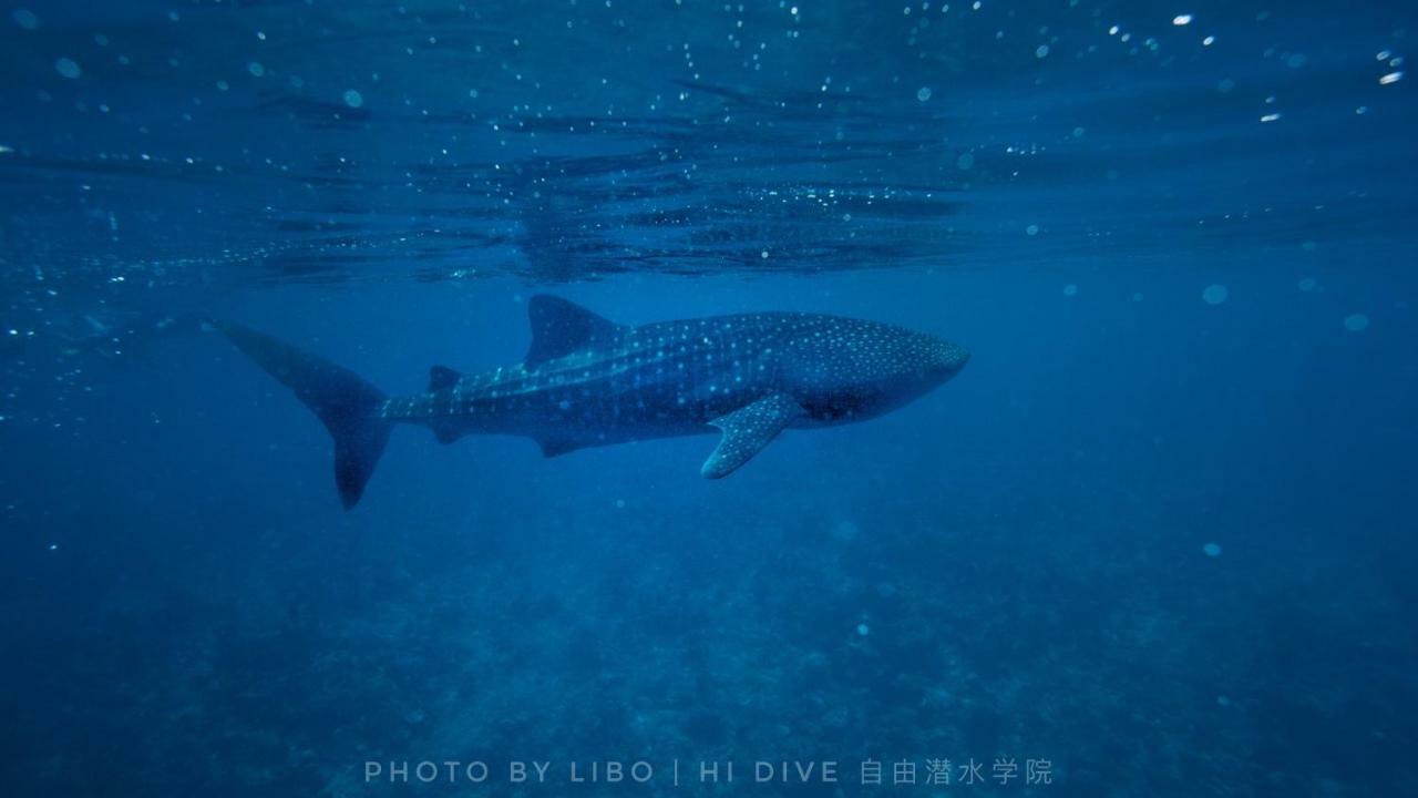Ithaa Dhigurah Maldives Dhigurah (Alif Dhaal Atoll) Luaran gambar