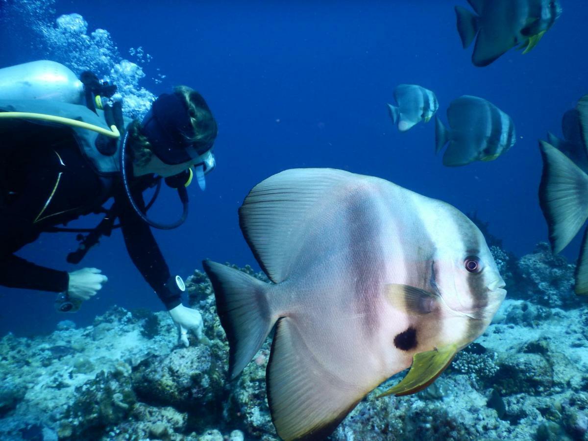 Ithaa Dhigurah Hotel Dhigurah  Luaran gambar